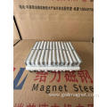 High rigidity rectangular motor magnet